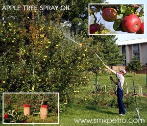 APPLE TREE SPRAY OIL